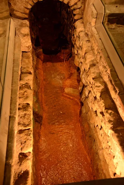 DSC_2639 (Large).JPG